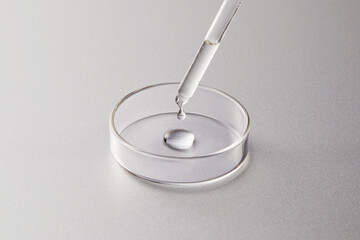 Petri dish with one dropper contained serum or acid or liquid on silver grey background