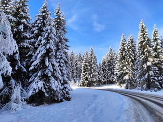 snowy road in a coniferous winter christmas forest on background of a beautiful winter landscape. carpathian mountains. natural park synevyr. ukraine