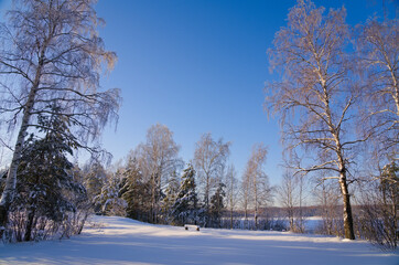 Snow drifts in the forest. Frozen forest lake. The nature of a winter forest wrapped in snowdrifts. Winter Fairy Tale