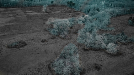 Black, white, and green landscape in autumn