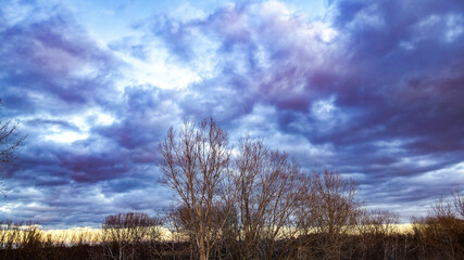 sky and clouds under autumn trees