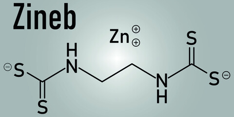 Zineb zinc organosulfur fungicide molecule. Skeletal formula.