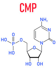 Cytidine monophosphate or CMP, cytidylate, RNA building block molecule. Skeletal formula.