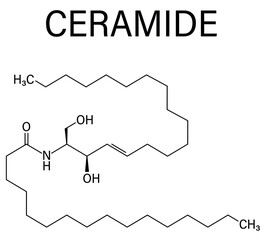 Ceramide cell membrane lipid molecule. Skeletal formula.