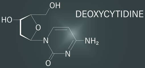 Deoxycytidine or dC nucleoside molecule. DNA building block. Skeletal formula.