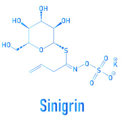 Sinigrin glucosinolate molecule. Present in some cruciferous vegetables like Brussels sprouts, broccoli, black mustard, etc. Skeletal formula.