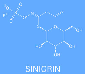 Sinigrin glucosinolate molecule. Present in some cruciferous vegetables like Brussels sprouts, broccoli, black mustard, etc. Skeletal formula.