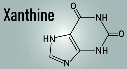 Xanthine purine base molecule. Skeletal formula.