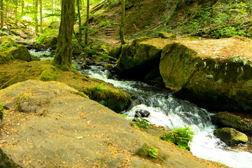 Wild and romantic Karlstal gorge in spring near Trippstadt Rhineland Palatinate, Germany