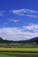 Fototapeta premium 日本で最も美しい村