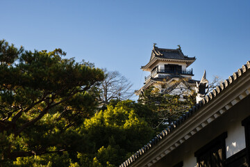 Fototapeta na wymiar 日本の百名城である高知城