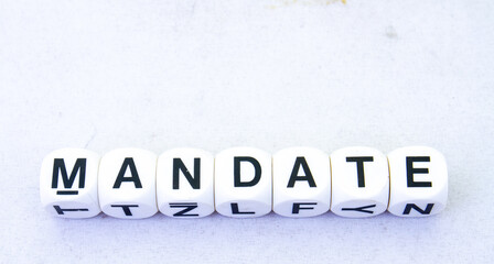 The term mandate isolated on a clear background image with copy space