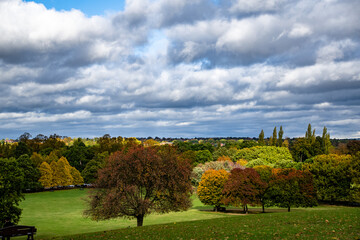 Beautiful view of the park with trees and the sky with puffy clouds