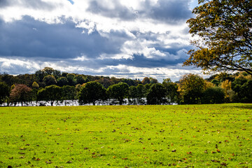 Beautiful view of the park with trees and the sky with puffy clouds