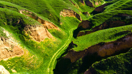Canyon cliffs mountains green grass top view