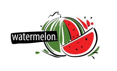 Drawn vector watermelon on a white background - obrazy, fototapety, plakaty