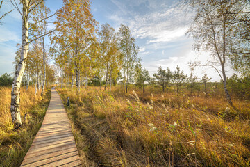 Aukštumala swamp - high swamp in Šilutė district, Pomeranian region. It is one of the largest wetlands not only in Western Lithuania, but also in the whole of Lithuania. Amazing untouched nature.