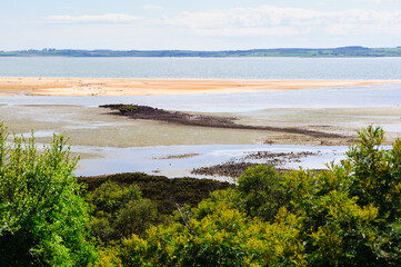Rhyll Inlet State Wildlife Reserve is a wetland reserve with walking paths, a boardwalk, mangroves,...