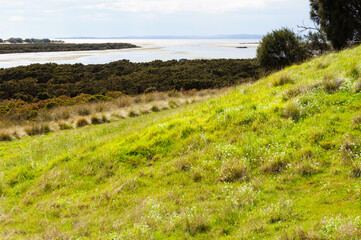 Rhyll Inlet State Wildlife Reserve is a wetland reserve with walking paths, a boardwalk, mangroves,...