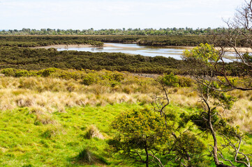 Rhyll Inlet State Wildlife Reserve is a wetland reserve with walking paths, a boardwalk, mangroves,...