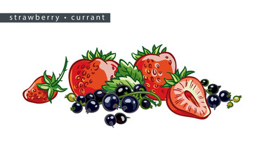 sketch_strawberry_currant_three_whole_berries_half_and_branches_with_black_berries