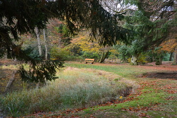 Herbst Landschaft im Park Halifax in Soltau, Niedersachsen