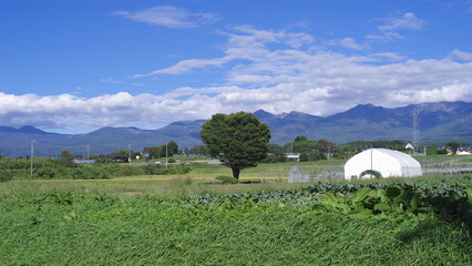 日本で最も美しい村