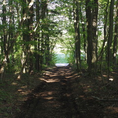 日本で最も美しい村