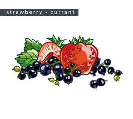 sketch_strawberry_currant_whole_berry_half_and_a_branch_with_black_berries_and_leaves