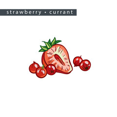 sketch_strawberry_currant_half_a_berry_and_five_small_berries