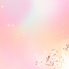 Pastel color background material using cherry blossoms