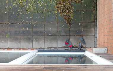 Fall in a garden, leaves waiting to be raked