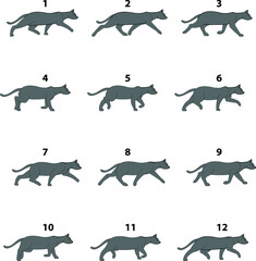 Cat walking cycle animation vectors for cartoon video