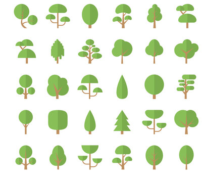 Set Flat Trees in a Flat Design. Isolated on White Background. Icons