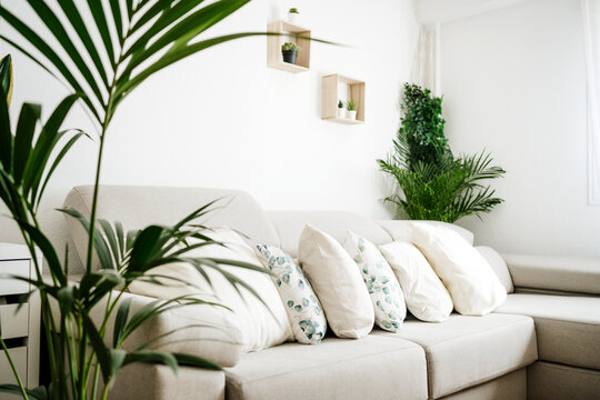 Cushions arranged in line on sofa