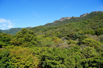 내장산, Naejang mountain, Jeongeup-si, Jeollabuk-do, Republic of Korea