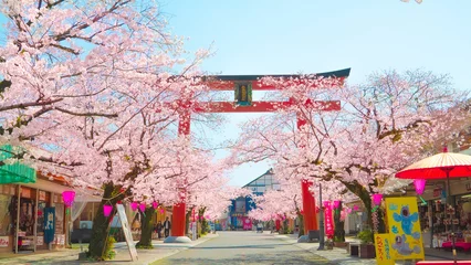 Tuinposter 桜と鳥居 佐賀県祐徳稲荷神社 © 恭吾 大中原