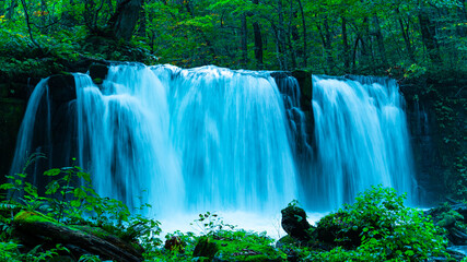 十和田湖 奥入瀬渓流