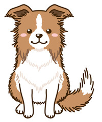 ボーダーコリー（レッド＆ホワイト）