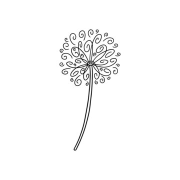 Abstract simple dandelion in black ink color. Spring airy blossom flower