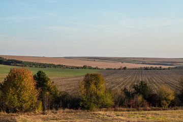 autumn landscape at the sunset with copy space