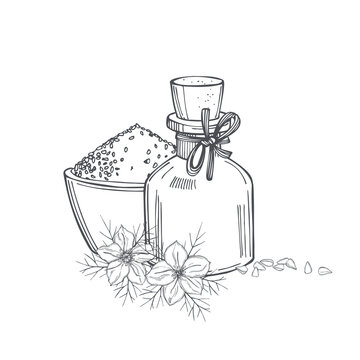 Black cumin oil with seeds.  Sketch illustration