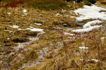 autumn in the mountains
