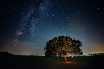 Obraz na płótnie Canvas Milky Way shot at night with a lonely oak tree in the foreground and city lights in the background