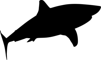 Shark Silhouettes SVG Shark Clipart