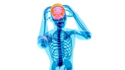 4K anatomy concept of a headache