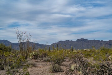 A beautiful overlooking view of nature in Tucson, Arizona
