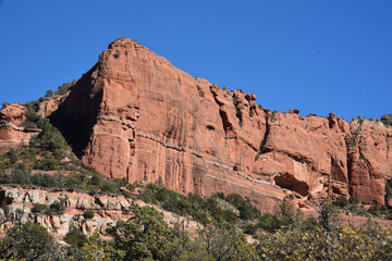 Fototapeta premium park