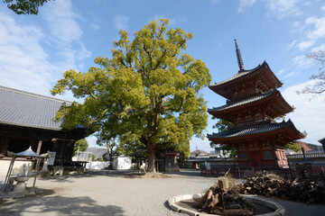 斑鳩寺　境内　兵庫県太子町鵤