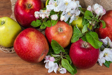 Apples among apple tree flowers and leaves on rustic table